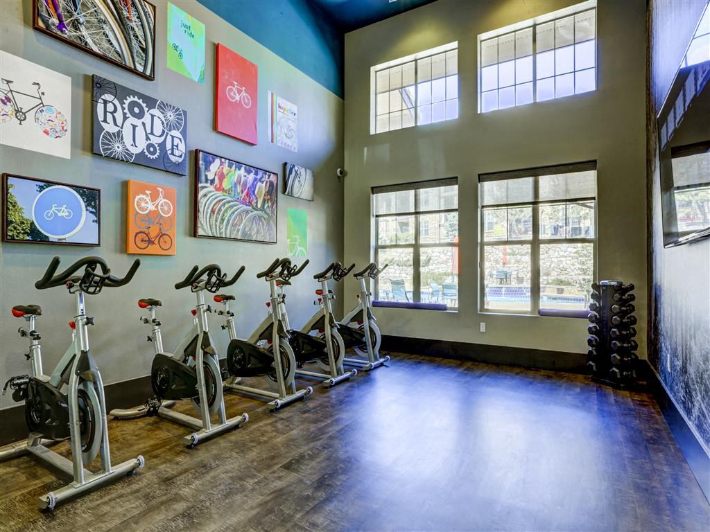 spin bikes fitness center