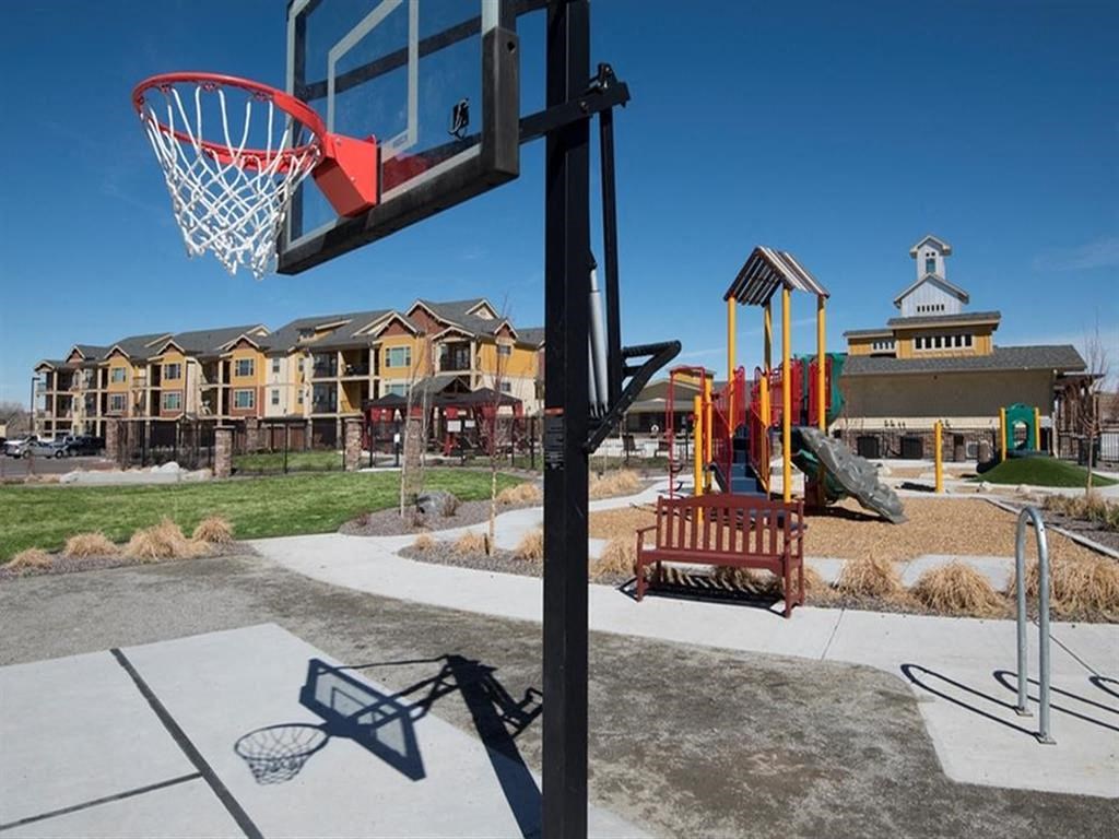 basketball hoop and playground