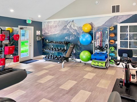 A gym with a variety of equipment including a treadmill, weights, and exercise balls