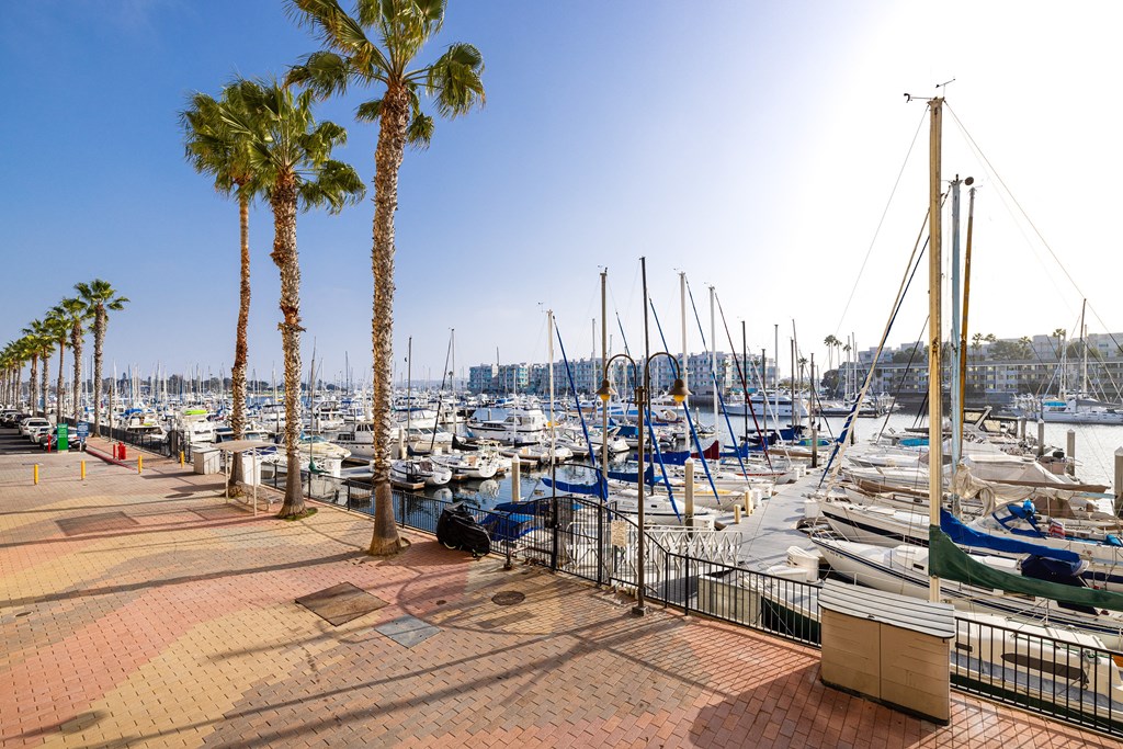 A marina with boats and palm trees.