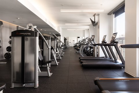 A gym with treadmills and exercise equipment.