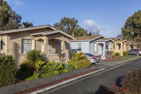 a row of houses with cars parked in front of them with lush greenery
