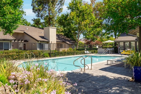 2991 College Avenue 1-3 Beds Apartment for Rent
