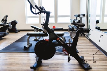 Gym Gym - Photo Gallery 6