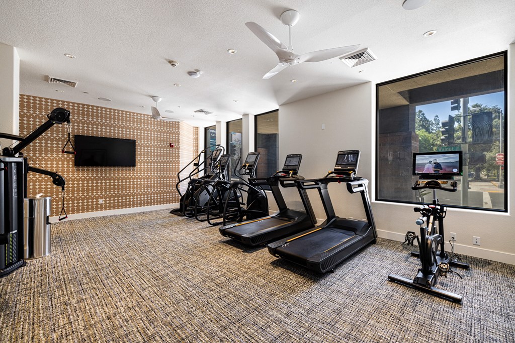 the gym has plenty of cardio equipment and a large window