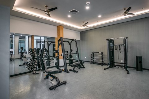 A gym with a variety of equipment including weights and a bench.