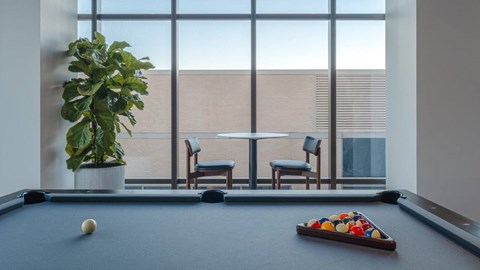A pool table with a green plant in the corner.
