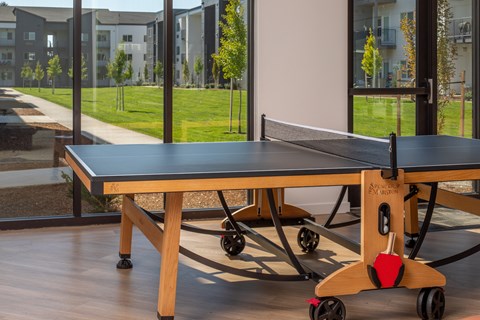 A ping pong table with a wooden base and a black top is in the foreground with a view of a grassy area and buildings in the background.
