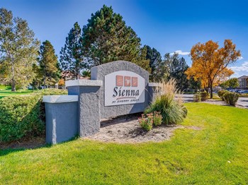 Sign Sign - Photo Gallery 3