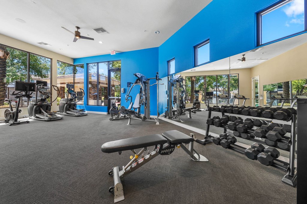 A gym with a variety of equipment including treadmills, weights, and a bench press.