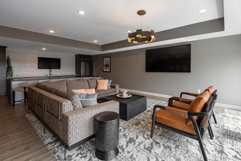 A modern living room with a grey sofa and a black and white rug.