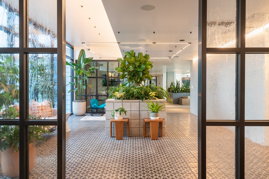 a room with large windows and a large potted plant in the middle of the room