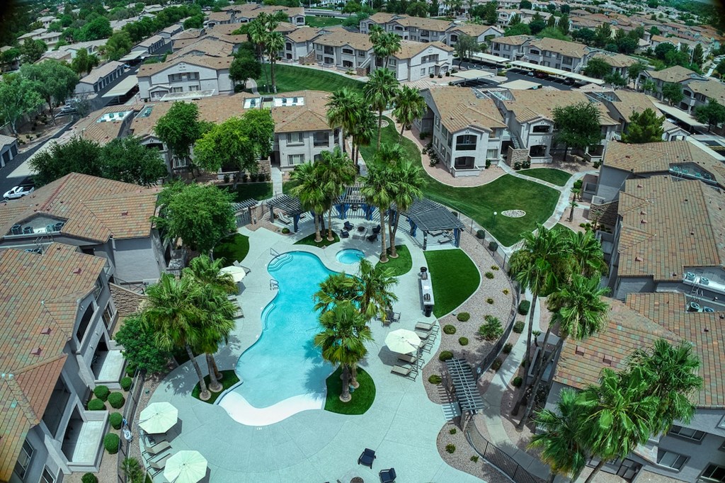 A swimming pool surrounded by palm trees and houses.