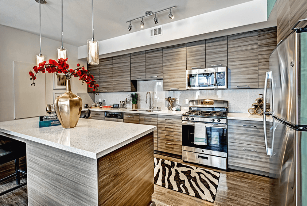 a kitchen with stainless steel appliances and a zebra rug