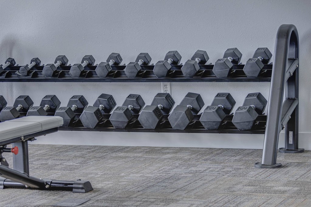 a row of dumbbells on a rack in a gym at Copper 87, West Jordan