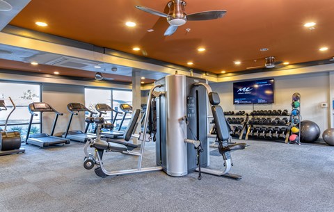 A gym with a variety of equipment including a treadmill, weights, and a television.