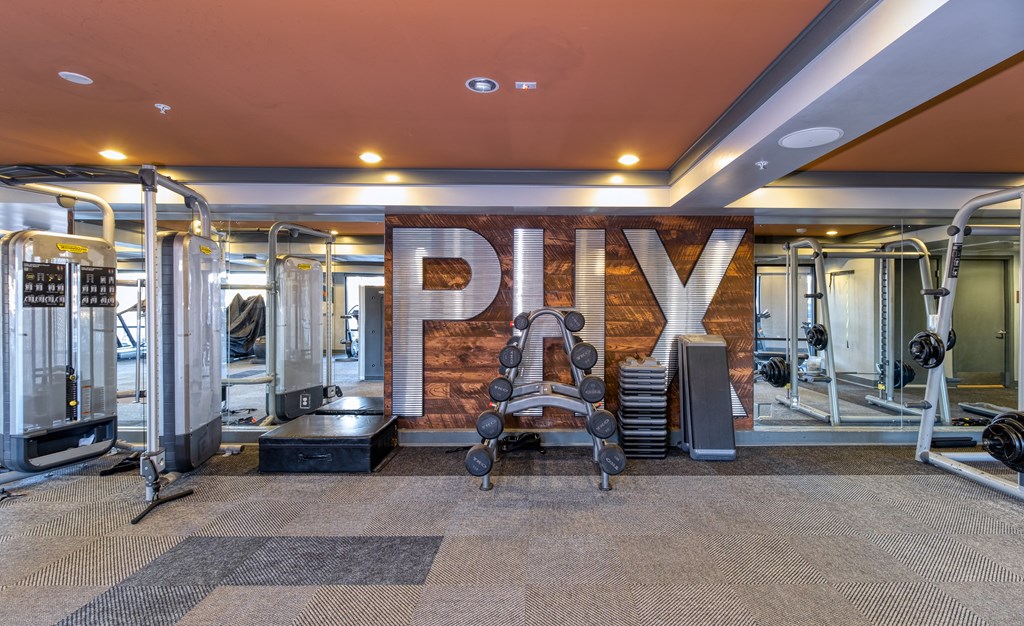 a gym with gym equipment and the word payx on the wall