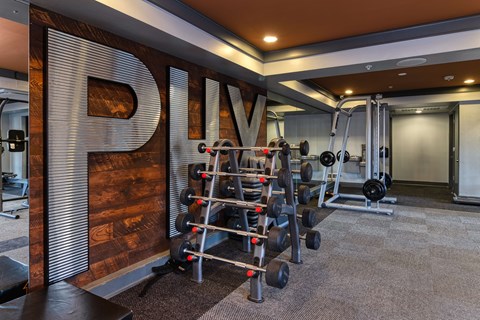 A gym with a variety of equipment including weights and a bench.