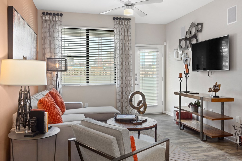 Living Room decor at 601 Pax, Phoenix, AZ, 85003
