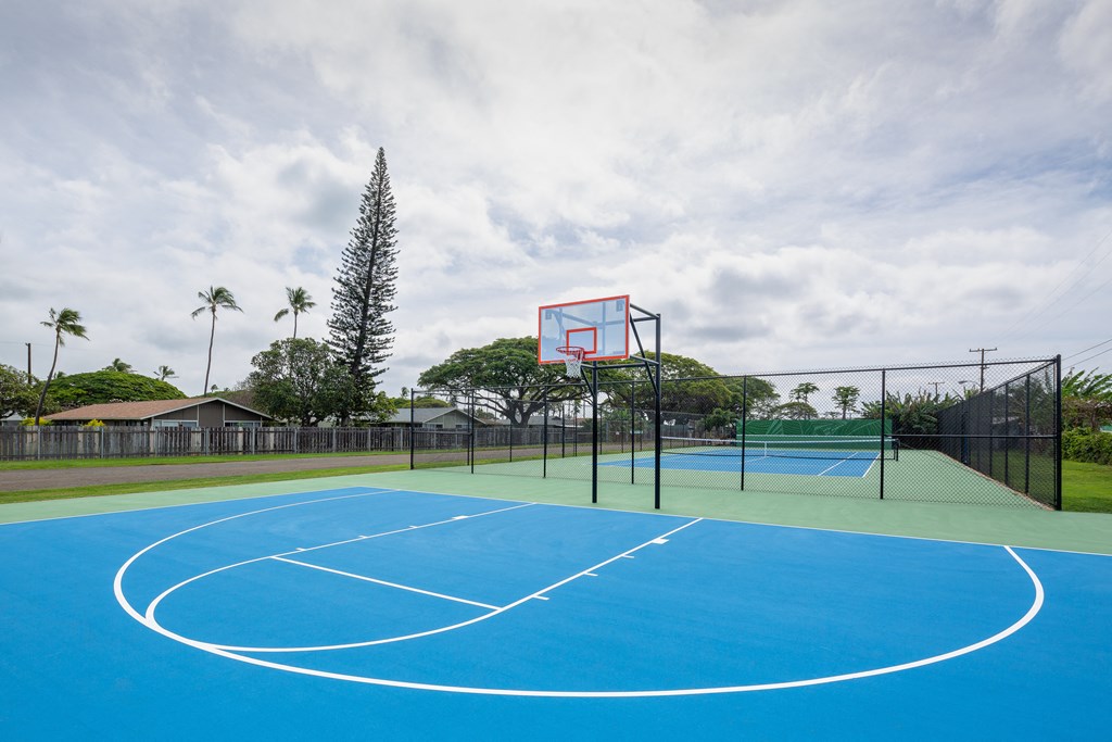 a blue and green basketball court with trees in the background