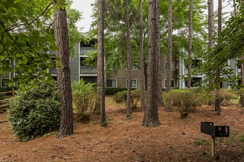 A black mailbox is in the foreground of a wooded area with a building in the background.