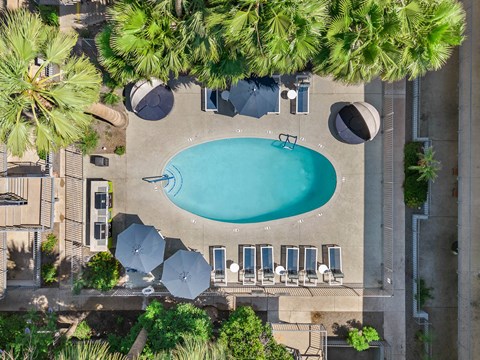 arial view of a swimming pool in a hotel with palm trees