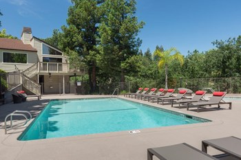 Apartments in Pleasant Hill CA - Sparking Swimming Pool Surrounded by Various Lounge Chairs - Photo Gallery 4