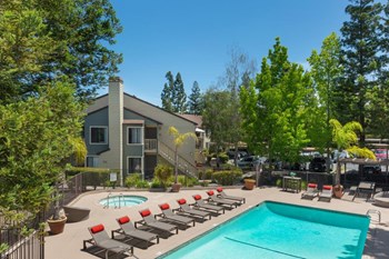 pool - Photo Gallery 5