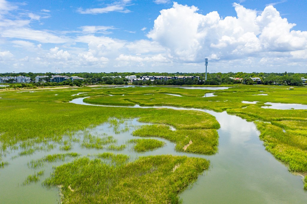 Adjacent to Intracoastal Waterway