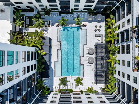A swimming pool surrounded by palm trees and buildings.