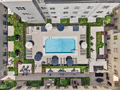 A pool surrounded by greenery in a courtyard.