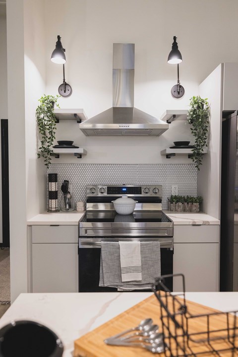 A modern kitchen with a stove top oven and a hanging herb garden.