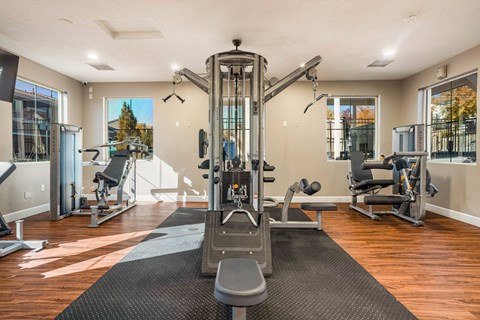 A well-equipped home gym with a variety of exercise machines.