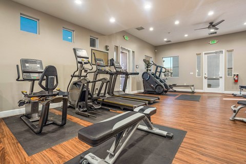 A gym with a variety of equipment including treadmills, elliptical machines, and weight machines.