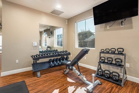 A well-equipped home gym with a mirror, bench, weights, and a television.