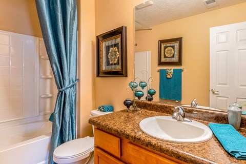 a bathroom with a sink and a toilet and a shower