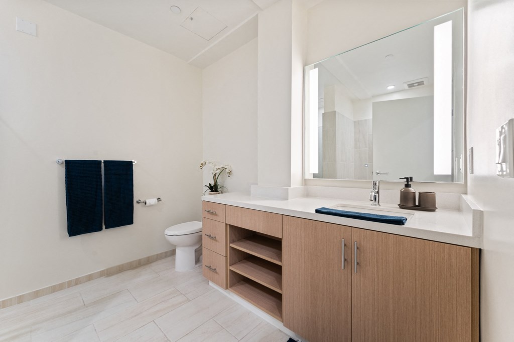 a bathroom with a sink and a toilet and a mirror