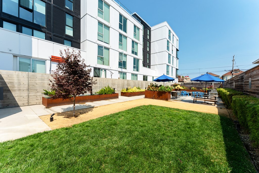 a backyard with a lawn and a patio with umbrellas