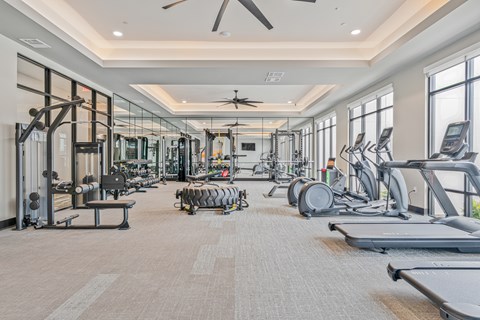 A spacious gym with a variety of equipment including treadmills, weights, and exercise machines.