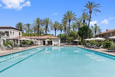 A large swimming pool surrounded by palm trees and lounge chairs.