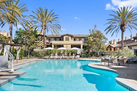 A swimming pool surrounded by palm trees and lounge chairs.
