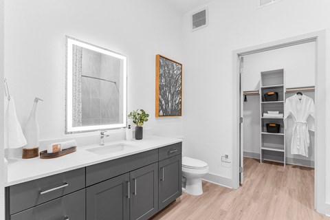A bathroom with a white sink and a mirror above it.