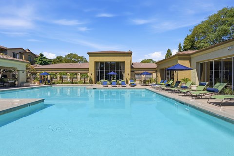 A large swimming pool with a blue tinted water and sun loungers around it.
