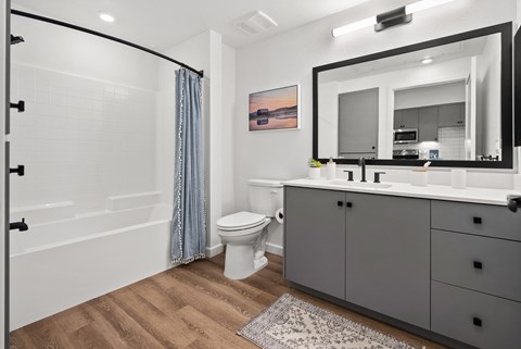 a bathroom with a shower toilet and sink and a mirror