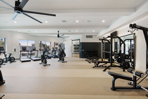 A spacious gym with a variety of equipment including treadmills, stationary bikes, and weight machines.