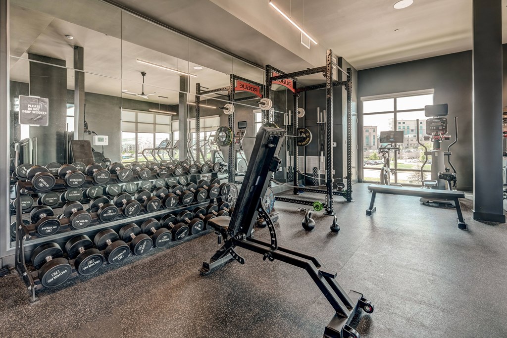 A gym with a variety of equipment including dumbbells, weight plates, and a squat rack.
