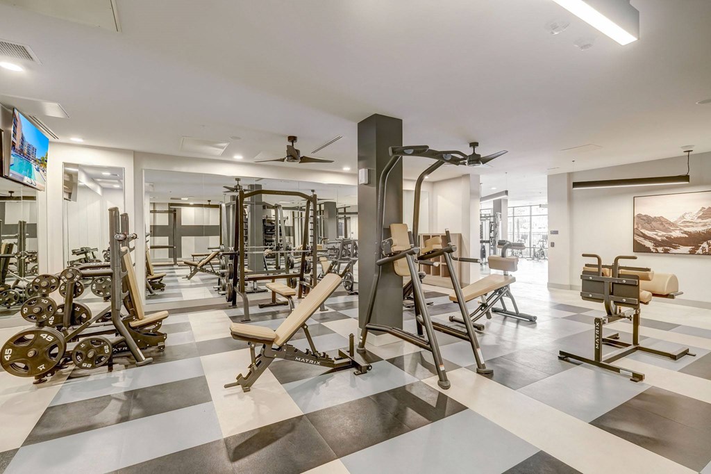 Fitness room strength machines