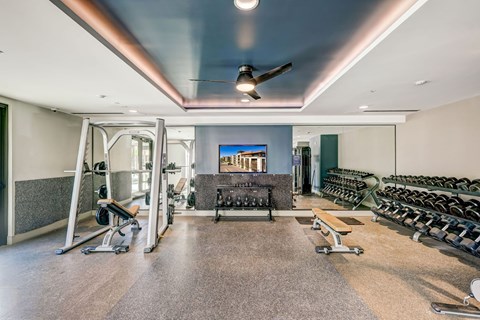 A gym with a variety of equipment including weights and a bench.