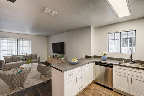 A kitchen with a stainless steel dishwasher and a sink.