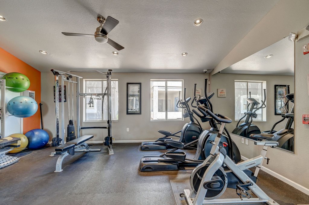 the gym at 1861 muleshoe road